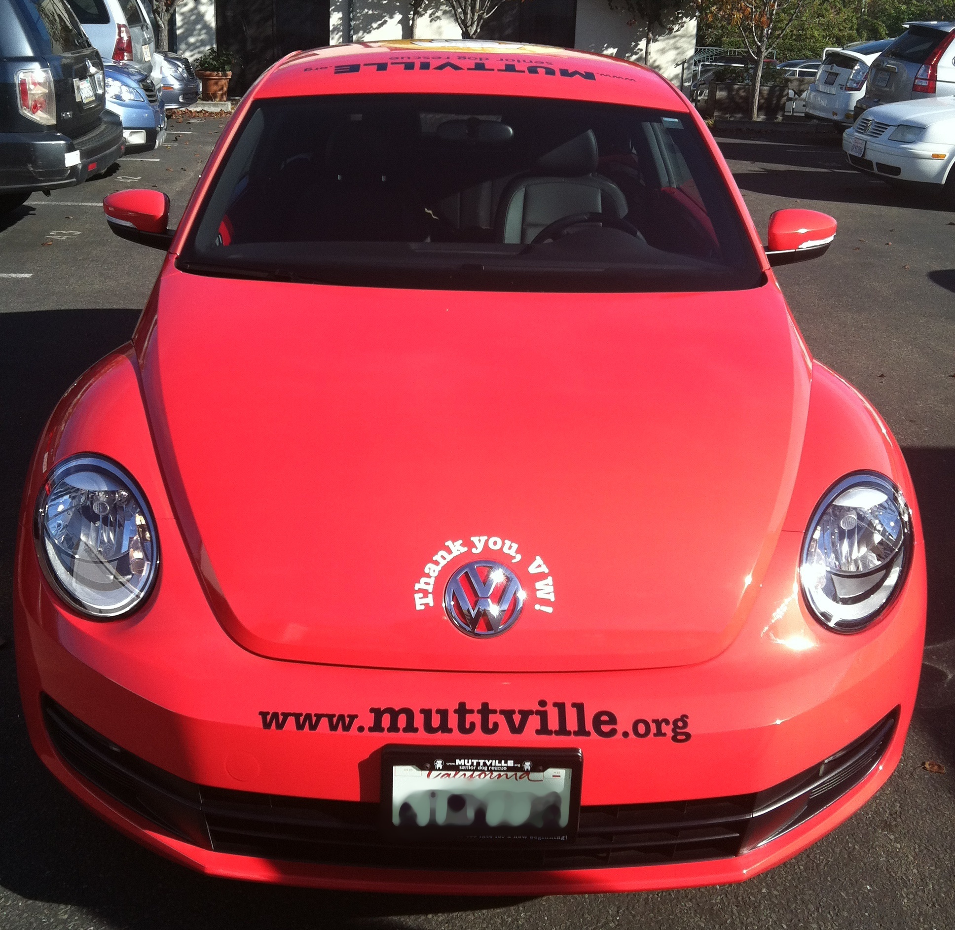 Muttville Car Wrap Custom Vehicle Wraps